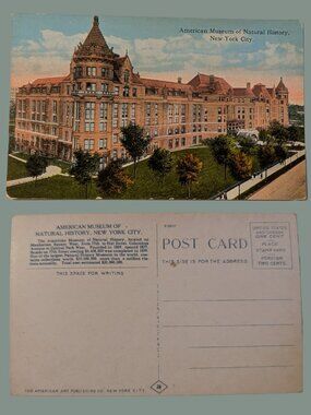 10/$25 Vintage 1900s American Museum of Natural History New York City Postcard